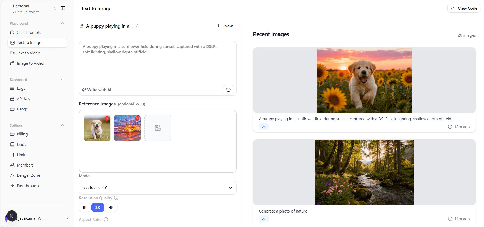 Image Generation Example